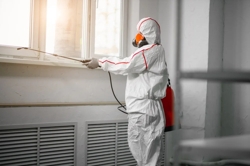 Professional mold remediation services in Ideal, GA
